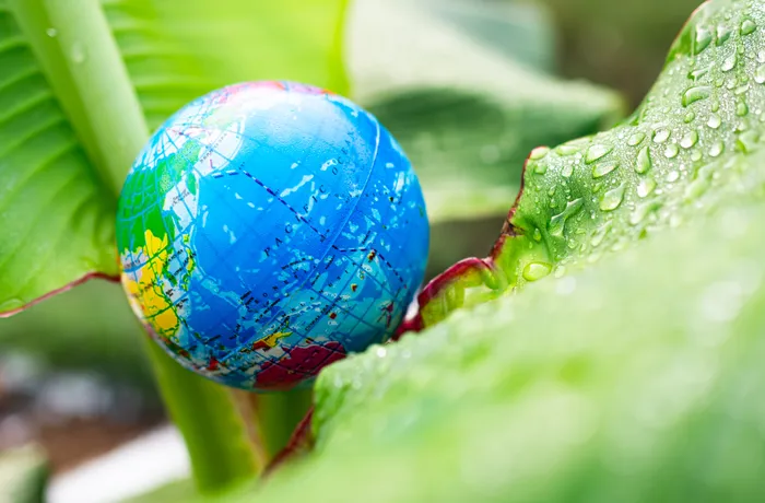 Model kuli ziemskiej umieszczony na zielonym liściu pokrytym kroplami rosy