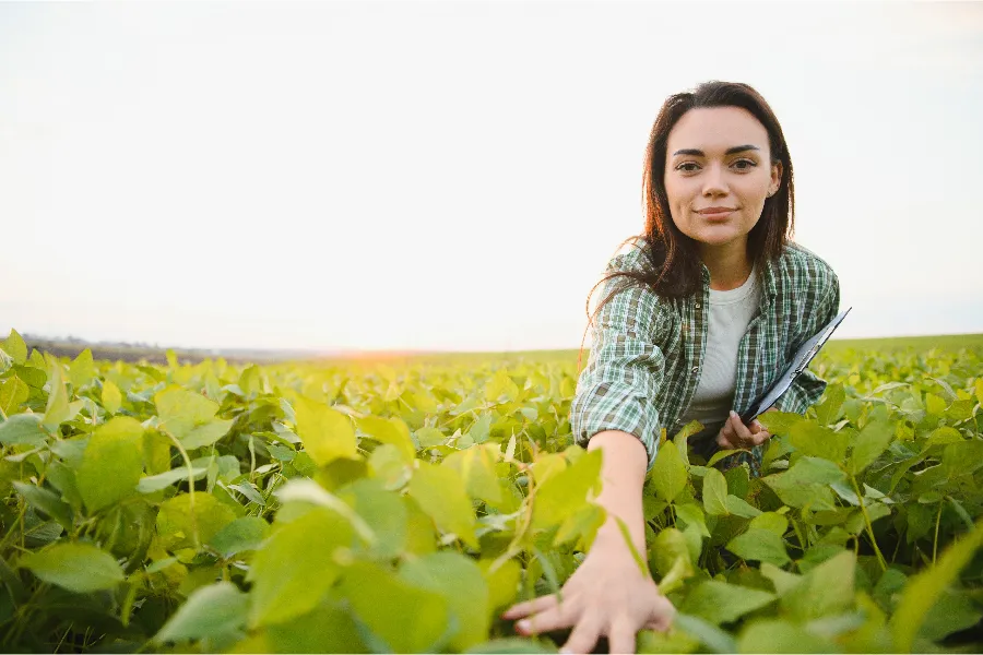Kobieta rolniczka w polu