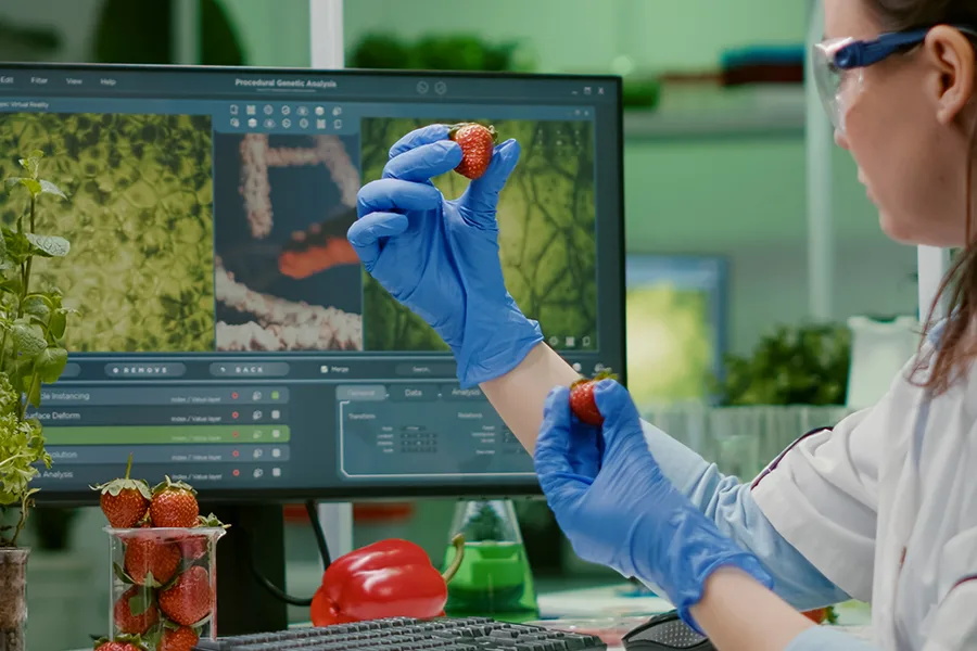 Roślinny biohacking: jak Twoje DNA i&nbsp;AI decydują, co naprawdę powinieneś jeść